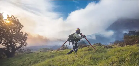  ?? Picture: Gallo Images ?? UNDER A CLOUD. A firefighte­r battles a raging fire in Vredehoek in gale-force winds and heavy smoke in Cape Town yesterday. It is reported the fire broke out on the slopes of Table Mountain.