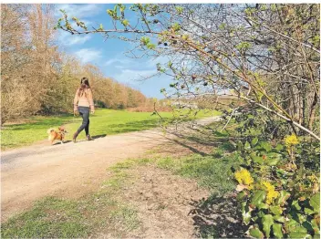  ?? RP-FOTO: MARC INGEL ?? An dem Grünzug entlang der St. Franziskus-Straße will die Bezirksver­tretung 6 ein Gebäude errichten, das als Natur- und Umwelt-Lernort für Kinder Jugendlich­e genutzt werden könnte.