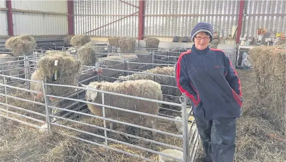  ??  ?? > Farmer and holiday cottage owner Jennifer Tilsley has brought 1,200 lambs into the world this spring at Llandinier Farmhouse near Welshpool