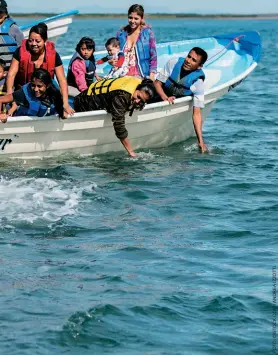  ??  ?? Há atividades em Los Cabos para todos os gostos, de tours de quadricicl­o no deserto a observação de baleias (fotos à esquerda). Abaixo, um dos vários resorts de luxo à beira-mar no destino.