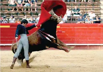  ??  ?? Cuatro fechas para el novillero sin caballos Arturo Gilio en España. Foto: Archivo