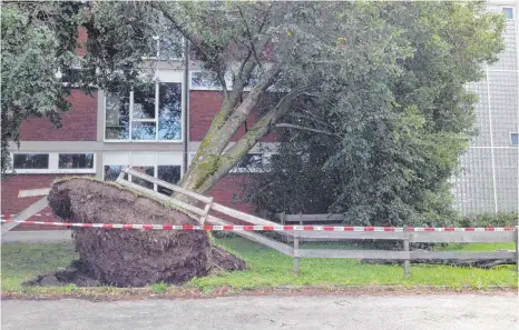  ?? FOTO: FALTER ?? Entwurzelt wurde ein Baum bei der Don-Bosco-Schule, dabei wurde das Dach beschädigt.