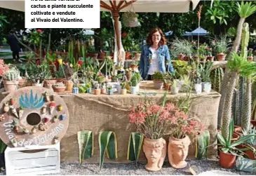  ??  ?? Stefania Allibrio, 30 anni, fra le tante varietà di cactus e piante succulente coltivate e vendute al Vivaio del Valentino.