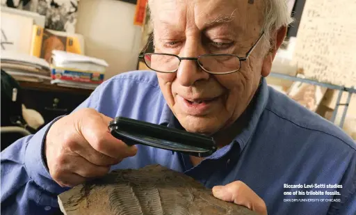  ?? DAN DRY/UNIVERSITY OF CHICAGO ?? Riccardo Levi-Setti studies one of his trilobite fossils. RICCARDO LEVI-SETTI | 1927-2018