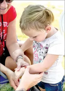  ?? Sally Carroll/MCDONALD
COUNTY PRESS ?? Sophia Spencer, the great-granddaugh­ter of Goodman Mayor Greg and Rhonda Richmond, takes a closer look at her new “tattoo” during the Ozark Orchard Festival last year.