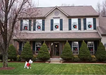  ??  ?? Left: The exterior of the Culver home boasts a welcoming farmer’s porch and historical clay and hunter green color palette.Below: Holiday decorating is a family affair for Renee and Mel, sons Kyle and Sam, and Bingo the Bichon Frise; they use wreaths to adorn windows and red and green lights to make shrubbery merry.Opposite: This antique cupboard is slender enough to make room for the Windsor chairs in front of it, but its vivid red color ensures its status as a focal point in the living room. Never one to leave things unadorned, Renee takes advantage of the sifter and tobacco basket on the wall and the antique rake nearby to showcase festive flourishes. Use for type placement only