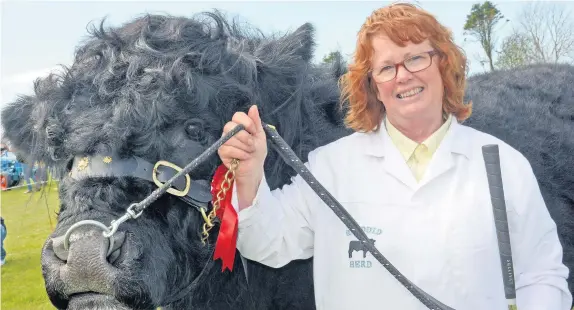  ??  ?? Lyn Foxwell with her champion Welsh black bull at the Nefyn Show