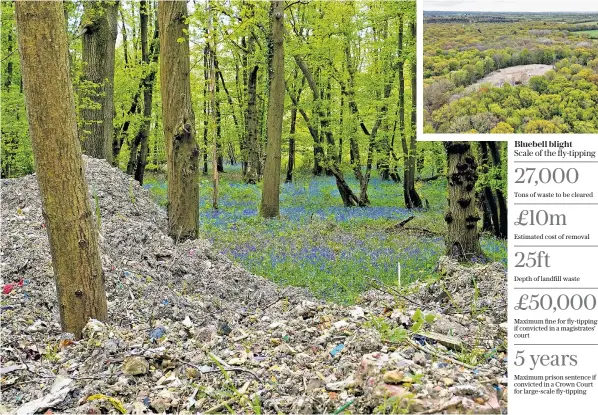  ?? ?? Hoads Wood near Ashford, Kent, where campaigner­s say some 10 trucks a day have been fly-tipping among the bluebells