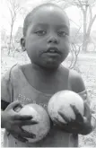  ??  ?? Baby Thabiso (3) struggles to hold two corky monkey oranges ( which he sells, together with cousins, to help his parents put food on the table in Lupane. — (Picture by Eliah Sauishoma).