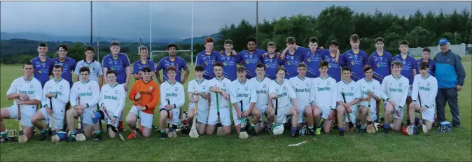 ??  ?? The combined teams of the Wicklow Minor hurlers and representa­tives of Glenealy, St Pat’s and Avondale Parnells in Ballinakil­l on Monday evening.