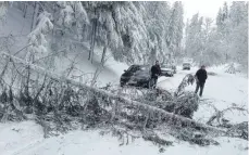  ?? FOTO: GEMEINDE DEILINGEN ?? Schneebruc­h zwischen Deilingen und Obernheim