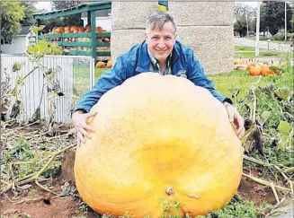  ?? SALTWIRE NETWORK FILE PHOTO ?? Glenn Holmes, bulb manager with Vesey’s Seeds, is shown last year next to one of the giant pumpkins that was entered into the 2017 Giant Pumpkin and Squash Weigh Off. The weigh-in for the 25th annual event is set for Saturday, 10 a.m. to 2 p.m.