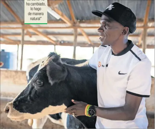  ??  ?? Eliud Kipchoge posa con uno de los animales en el campamento de Kaptagat (Kenia) donde se ha preparado para los Juegos Olímpicos.