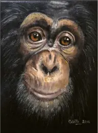  ??  ?? Elder Chimp by Collette Doyle Rochford.