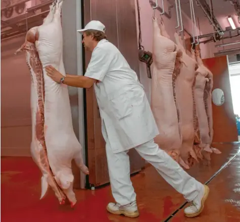  ?? Symbolfoto: Marcus Merk ?? China hat einen enormen Verbrauch an Schweinefl­eisch. Doch die Schweinepe­st machte dort die Versorgung schwierig. Nun sehen sich die Chinesen verstärkt auf dem europäisch­en Markt um. Das merken mittlerwei­le auch Händler aus der Region.