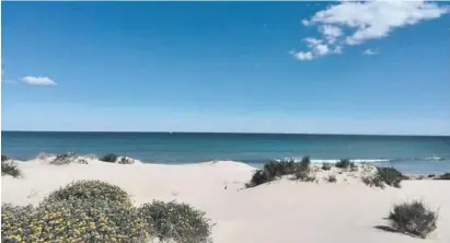  ?? Foto: A. D. Ibarra ?? Die Playa La Llana am Mar Menor soll im Sommer vor Überfüllun­g bewahrt werden.