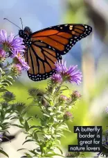  ?? ?? A butterfly border is great for nature lovers