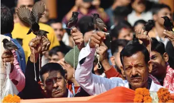  ?? — AFP photos ?? Villagers hold red-vented bulbuls before a traditiona­l fight on the occasion of Bhogali Bihu at Hayagriva Madhav Hindu temple in the Hajo town of Kamrup district, about 25 kilometers from Guwahati in India’s Assam state.