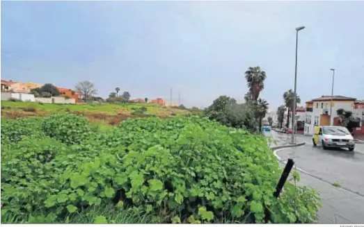  ?? ERASMO FENOY ?? La parcela de Pajarete donde el grupo Orpea proyecta la construcci­ón de la residencia de mayores en Algeciras.