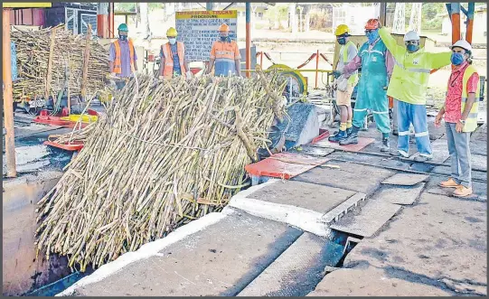  ?? Picture: BALJEET SINGH ?? Sugar cane being unloaded at Fiji Sugar Corporatio­n’s Lautoka Mill yesterday.