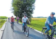  ?? FOTO: BAUCH ?? Die Pfahlheime­r Ortschafts­räte haben sich mit dem Fahrrad aufgemacht, um den Zustand der Feldwege zu prüfen.