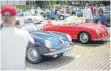  ?? FOTO: DPA ?? Auf dem Cannstatte­r Wasen gab es 1000 Porsche zu sehen.