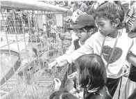 ?? — Gambar Bernama ?? MELUANGKAN MASA: Orang ramai mengambil kesempatan beriadah bersama ahli keluarga bagi memenuhi masa terluang sempena cuti sekolah ketika tinjauan di Zoo Rimba Razia dekat Kuala Berang, semalam.