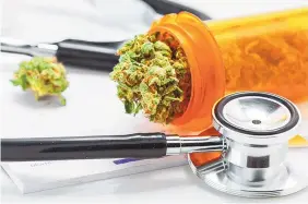  ?? BESTSTOCKF­OTO / SHUTTERSTO­CK/TOWNNEWS.COM CONTENT EXCHANGE ?? Cannabis is currently illegal under federal law as a Schedule I drug. Federal researcher­s have recommende­d moving it to a Schedule III drug, which includes drugs like ketamine and testostero­ne that are available by prescripti­on.