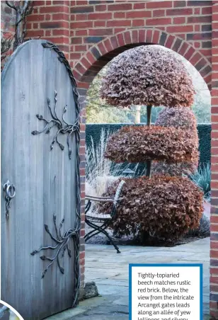  ??  ?? Tightly-topiaried beech matches rustic red brick. Below, the view from the intricate Arcangel gates leads along an allée of yew lollipops and silvery lavender ‘Imperial Gem’ to a rustic olive jar set against a yew hedge between a pair of box cones