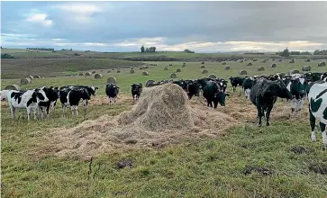  ?? ?? The changes will help protect the soil and waterways by placing greater importance on paddock selection and ensuring land was suitable for winter forage crops.