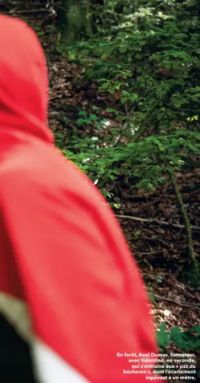  ??  ?? en forêt, axel Dumas, formateur, avec valentino, en seconde, qui s’entraîne aux « pas du bûcheron », dont l’écartement équivaut à un mètre.