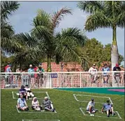  ?? BRYNN ANDERSON / AP ?? Fans sit in social distance squares Sunday during a spring training game with the Twins and Red Sox in Fort Myers, Fla.