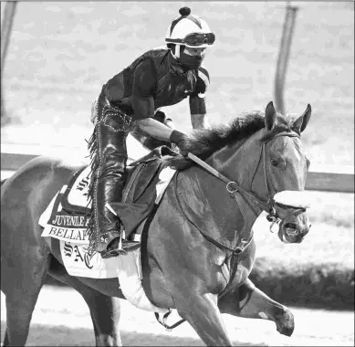  ?? BARBARA D. LIVINGSTON ?? Bellafina, training Monday at Churchill, will be a short-priced favorite in the Juvenile Fillies.