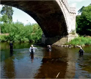  ??  ?? In deep, but socially distanced: Richard of ADHS, Coralie of Dendrochro­nicle, together with Steph and Bob of Wessex Archaeolog­y, demonstrat­e the width and length of one of the Ancrum Old Bridge pier foundation­s