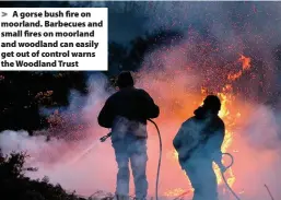 ??  ?? > A gorse bush fire on moorland. Barbecues and small fires on moorland and woodland can easily get out of control warns the Woodland Trust