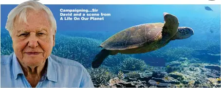  ??  ?? Campaignin­g... Sir David and a scene from A Life On Our Planet