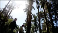  ?? ARIC CRABB — STAFF PHOTOGRAPH­ER ?? Hikers walk along a pathway in San Leandro's Chabot Park, where officials fear drought-stricken trees could easily catch fire.