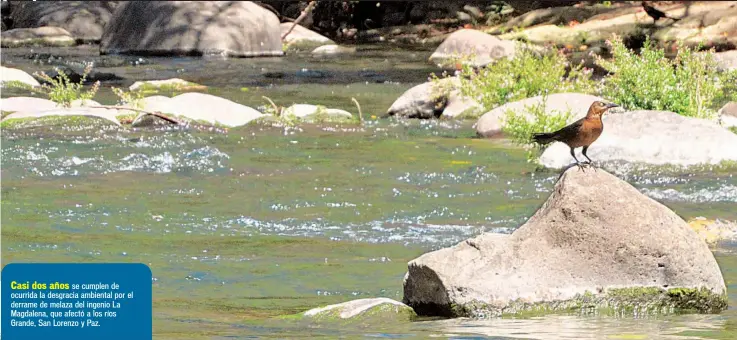  ??  ?? Casi dos años se cumplen de ocurrida la desgracia ambiental por el derrame de melaza del ingenio La Magdalena, que afectó a los ríos Grande, San Lorenzo y Paz.