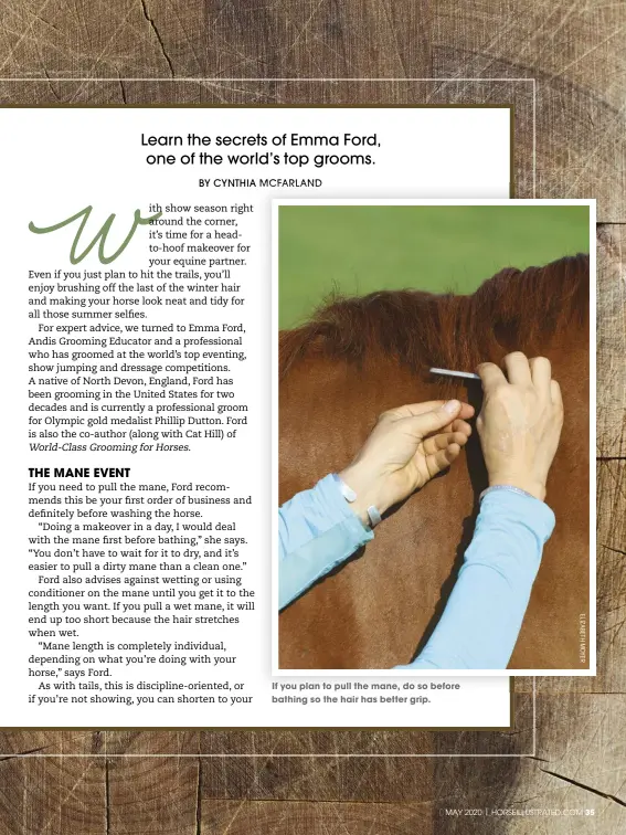  ??  ?? If you plan to pull the mane, do so before bathing so the hair has better grip.