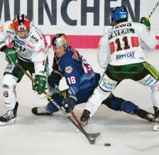  ?? Foto: GEPA ?? Die beiden Augsburger Drew LeBlanc (links) und Adam Payerl haben alle Mühe, den Münchner Justin Schütz zu stoppen.