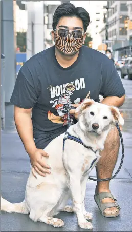  ??  ?? HOUNDED OFF: Tom Hale and his pooch, Lulu, can’t use the dog run at their Downtown Brooklyn building because bottles have been hurled into it from a next-door hotel that is now serving as a homeless shelter.