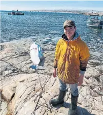  ?? ALBERT NETSER ?? Albert Netser said he tried to explain the Inuit significan­ce of the beluga harvest to people upset by the photo he shared.