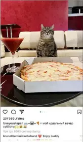  ?? ?? Cette vidéo de Stepan indifféren­t à sa pizza et son verre de vin a largement contribué à sa popularité.