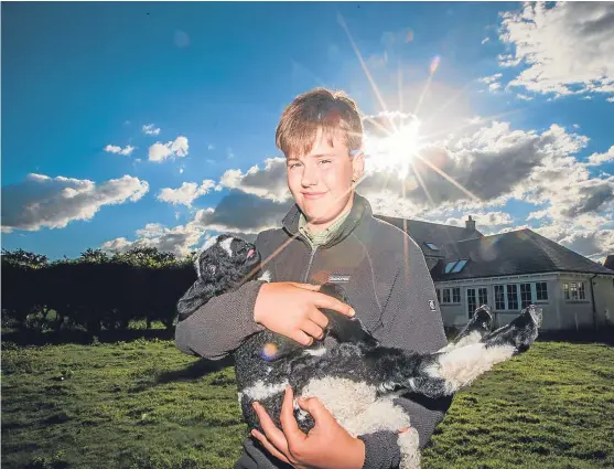  ?? Picture: Steve MacDougall. ?? Young shepherd bought small flock but has had difficult year as tragedy has struck more than once.