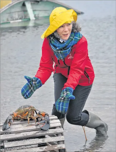  ?? KATHY JOHNSON PHOTO ?? Lucy the Lobster, pictured with Donna Hatt, chairwoman of the South Shore Tourism Co-operative, did not see her shadow at the Cape Sable Island Causeway in the Municipali­ty of Barrington on Groundhog Day morning last year. She’ll be back to make another prediction this year.