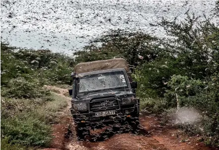  ?? WASHINGTON POST ?? A massive swarm of locust surrounds a vehicle near Archers Post, Kenya.
A plane operated jointly between the Government of Kenya and UN FAO sprays insecticid­e in Kenya.