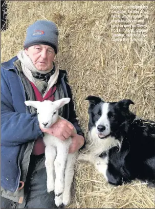  ??  ?? Robert Cox helped his daughter, farmer Anna Wolfe work round-theclock to deliver and tend to new lambs at Port Hill Farm, Stoney Stanton, watched by Castro the farm dog,