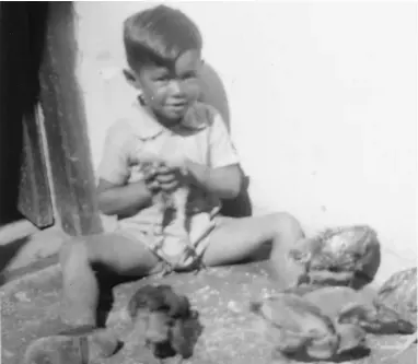  ??  ?? VALID: The author Rashaad Jattiem as a young child in District Six.