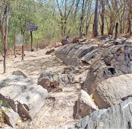  ??  ?? RECONOCIMI­ENTO. Continua el proceso para declararlo como geoparque.