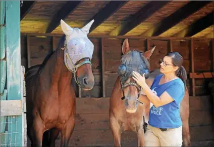  ?? TANIA BARRICKLO — DAILY FREEMAN ?? Catskill Animal Sanctuary Animal Care Director Kelly Mullins explains how Pliers, left, the 33-year-old son of Ashley, right, who is 35, would not allow anyone near his mother when they first arrived.